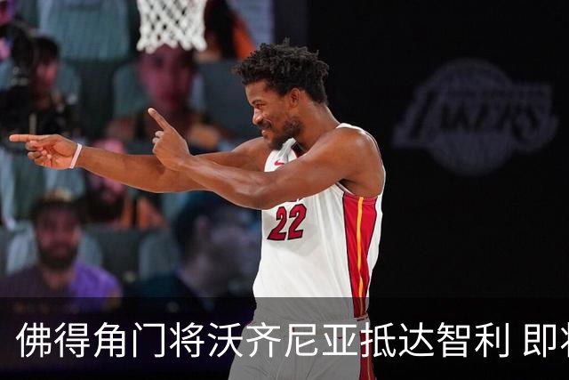 佛得角门将沃齐尼亚抵达智利 即将加盟联赛豪门(组图)