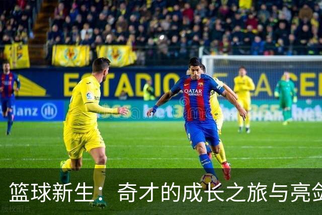 篮球新生：奇才的成长之旅与亮剑时刻
